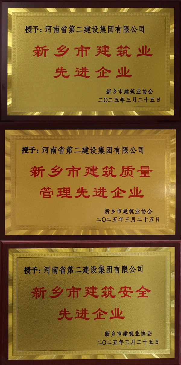 压球(中国)奖牌拼图.jpg